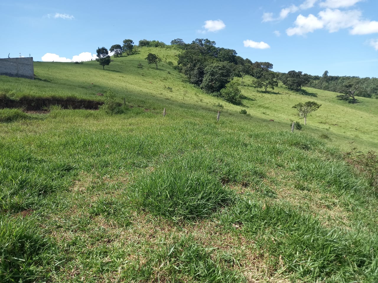 Lote em aclive ótima localização. bem próximo à rodovia | Vargem - SP | código 850