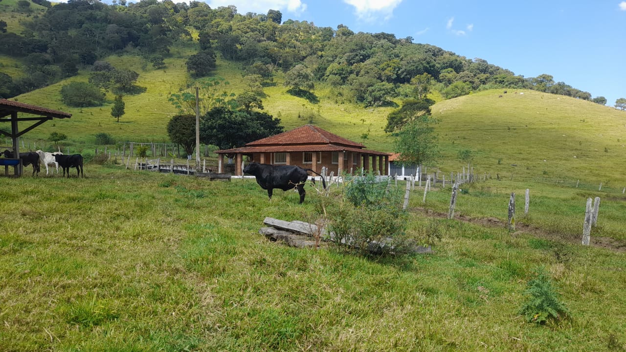 Sítio - Casa de tijolo a vista, área gourmet, churrasqueira, lago | Itapeva - MG | código 851