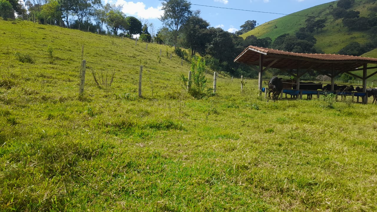 Sítio - Casa de tijolo a vista, área gourmet, churrasqueira, lago | Itapeva - MG | código 851