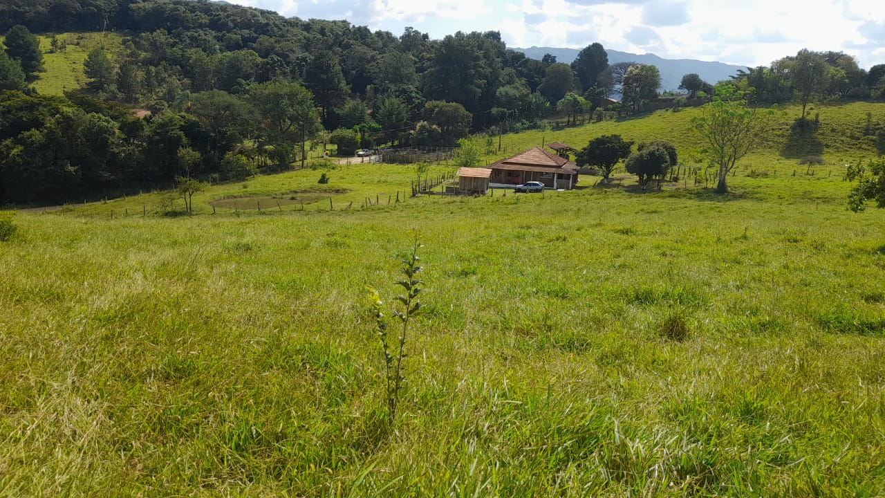 Sítio - Casa de tijolo a vista, área gourmet, churrasqueira, lago | Itapeva - MG | código 851