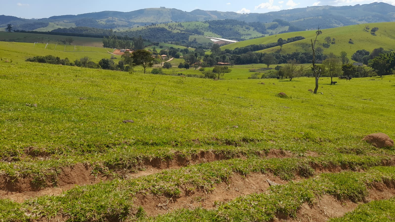 Sitio com lago, para plantio ou pecuária, topografia quase plana | Itapeva - MG | código 852