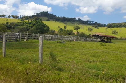 Sitio com lago, para plantio ou pecuária, topografia quase plana | Itapeva - MG | código 852