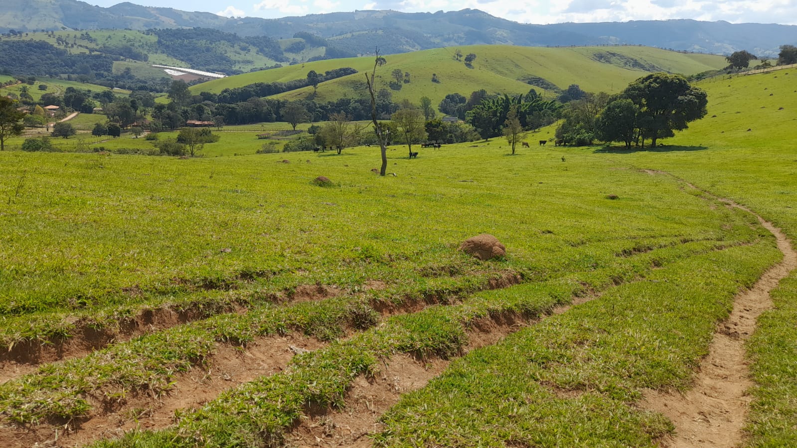 Sitio com lago, para plantio ou pecuária, topografia quase plana | Itapeva - MG | código 852