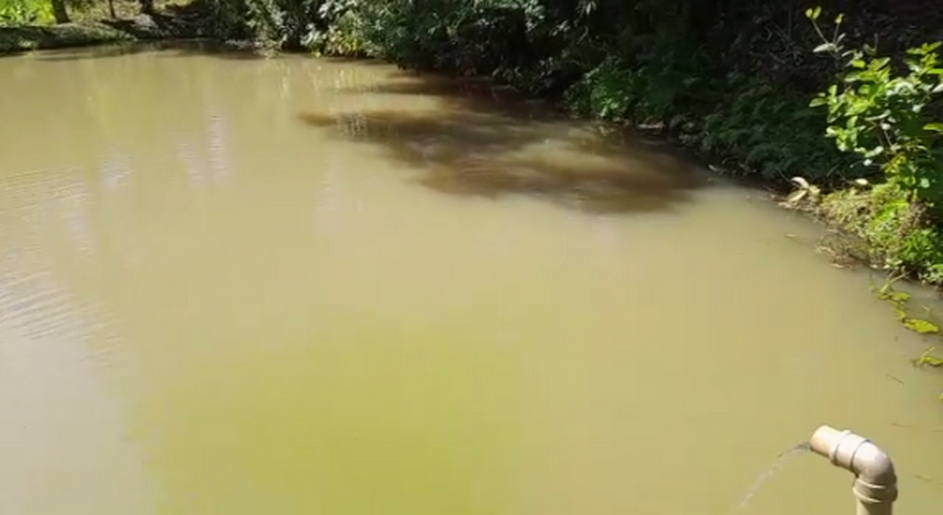 Terreno com lago, pequena cachoeirinha, a 8km de Extrema | código 863