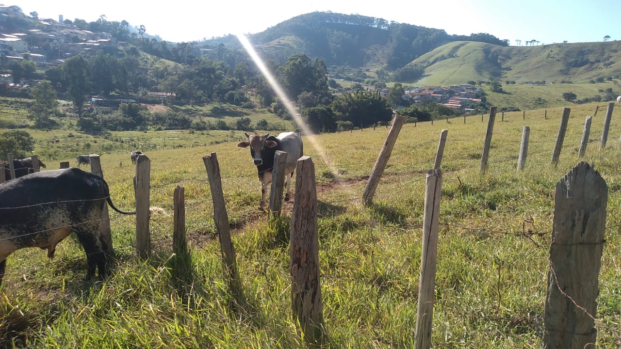 Terreno para empreendimento imobiliário em Joanópolis | código 865