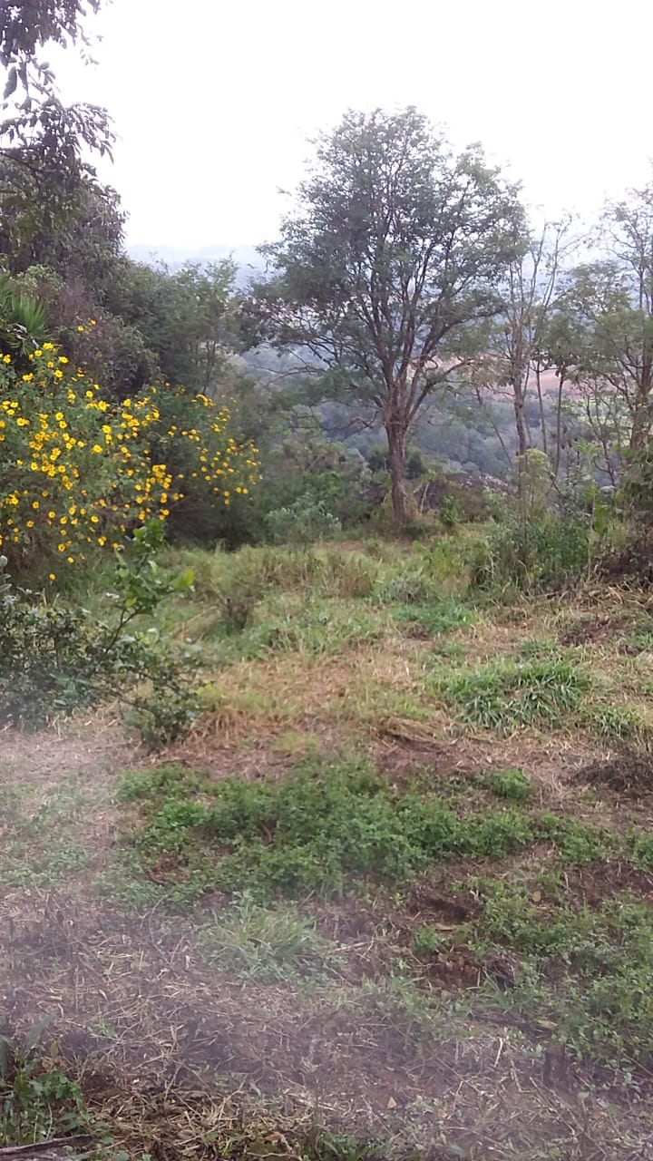 Sítio com casa, cachoeira, pomar, horta. riquíssimo em água | Toledo - MG | código 870