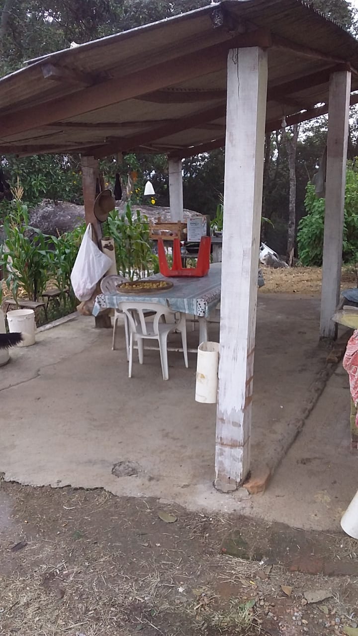 Sítio com casa, cachoeira, pomar, horta. riquíssimo em água | Toledo - MG | código 870