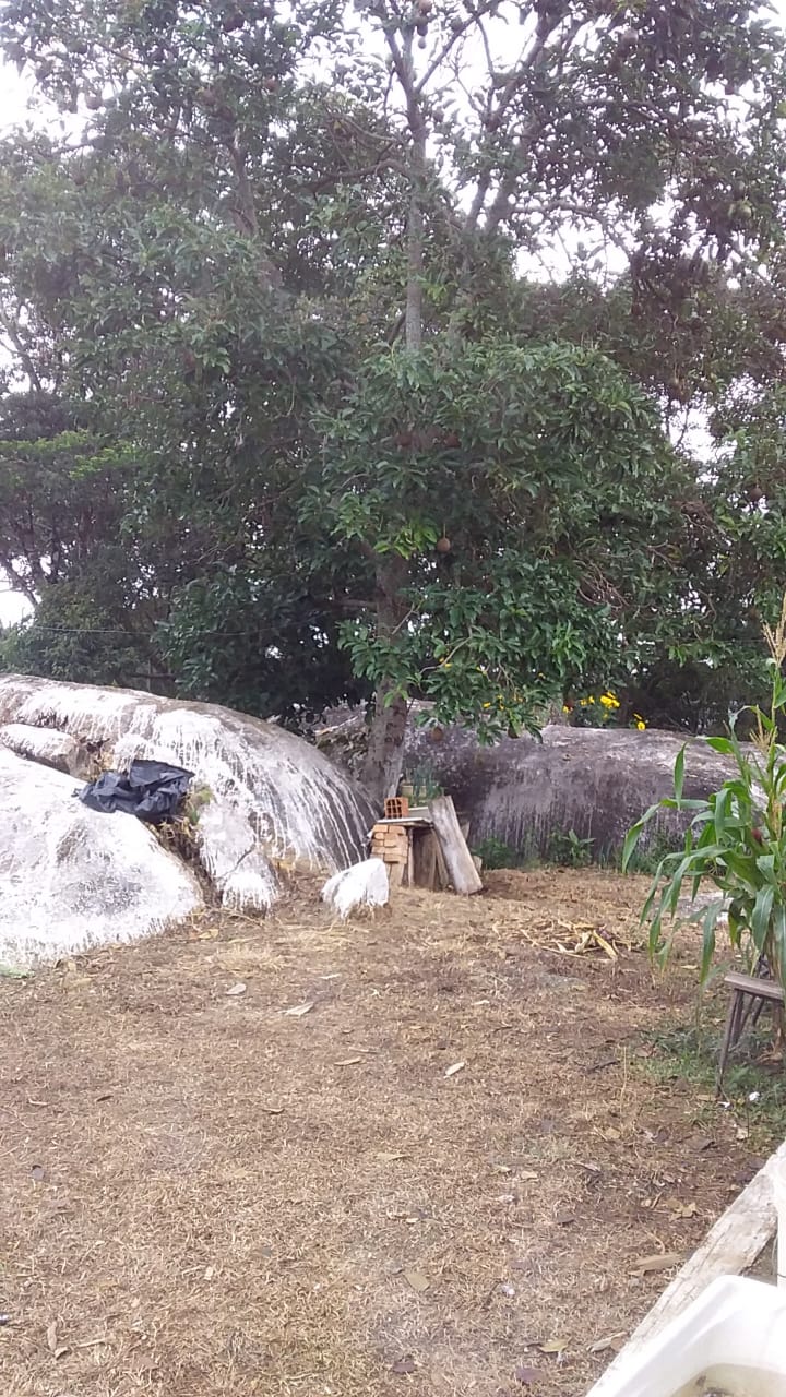 Sítio com casa, cachoeira, pomar, horta. riquíssimo em água | Toledo - MG | código 870