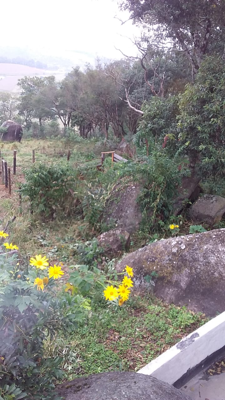 Sítio com casa, cachoeira, pomar, horta. riquíssimo em água | Toledo - MG | código 870