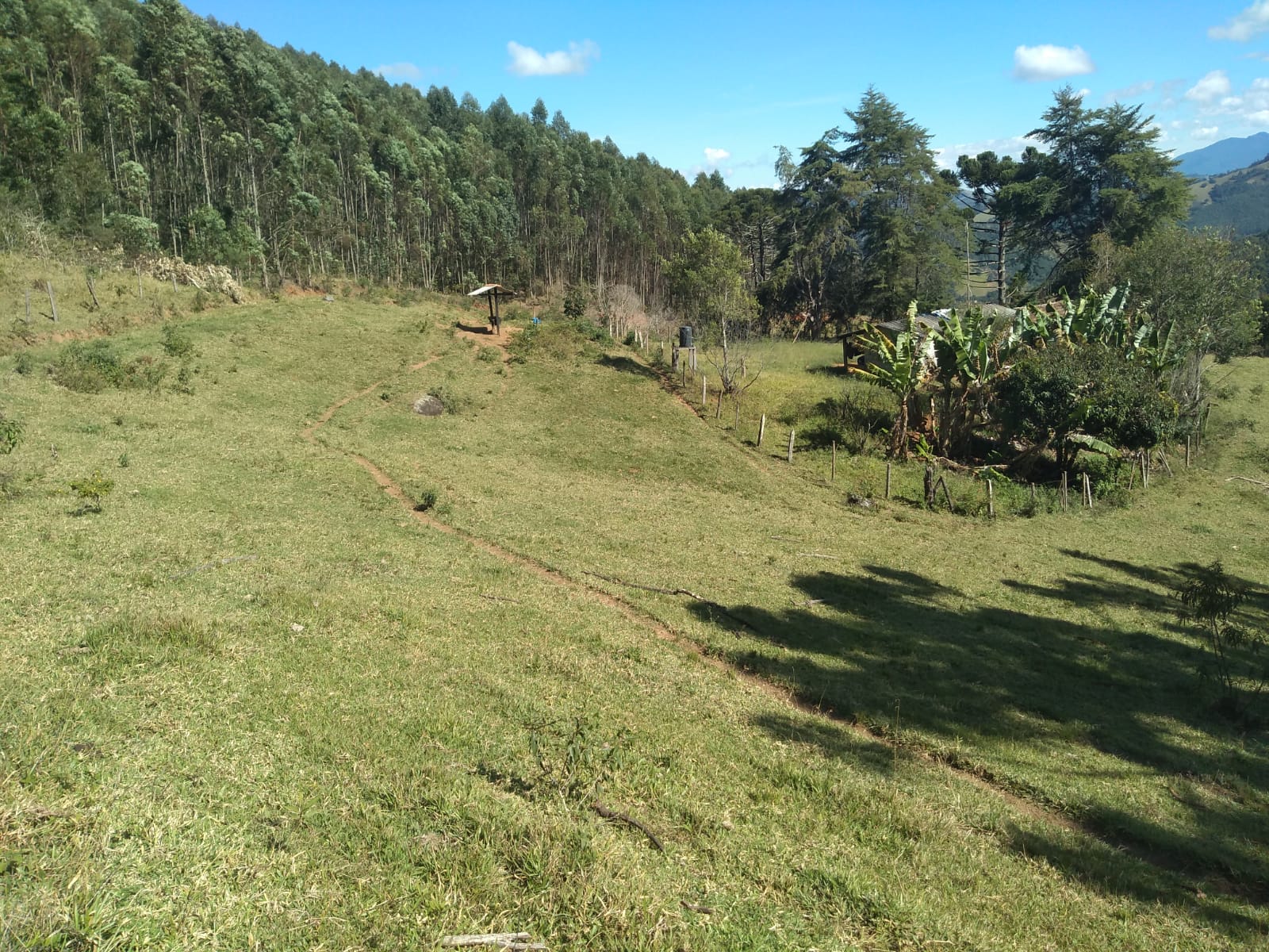 Fazendinha com nascente, casa simples, 18 alqueire de eucalipto. | Joanópolis - SP | código 871