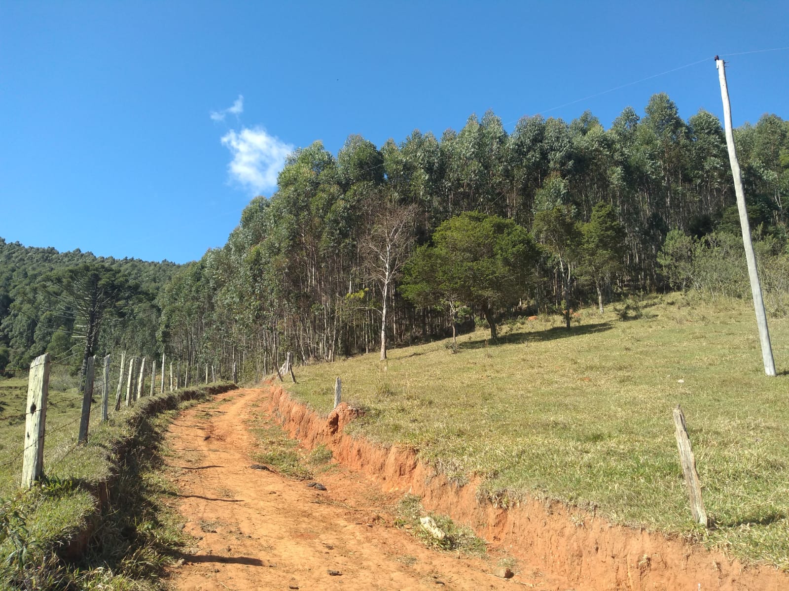 Fazendinha com nascente, casa simples, 18 alqueire de eucalipto. | Joanópolis - SP | código 871