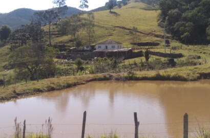 Fazendinha com Casa grande, 3 lagos, formada em pastagens | Joanópolis - SP | código 872