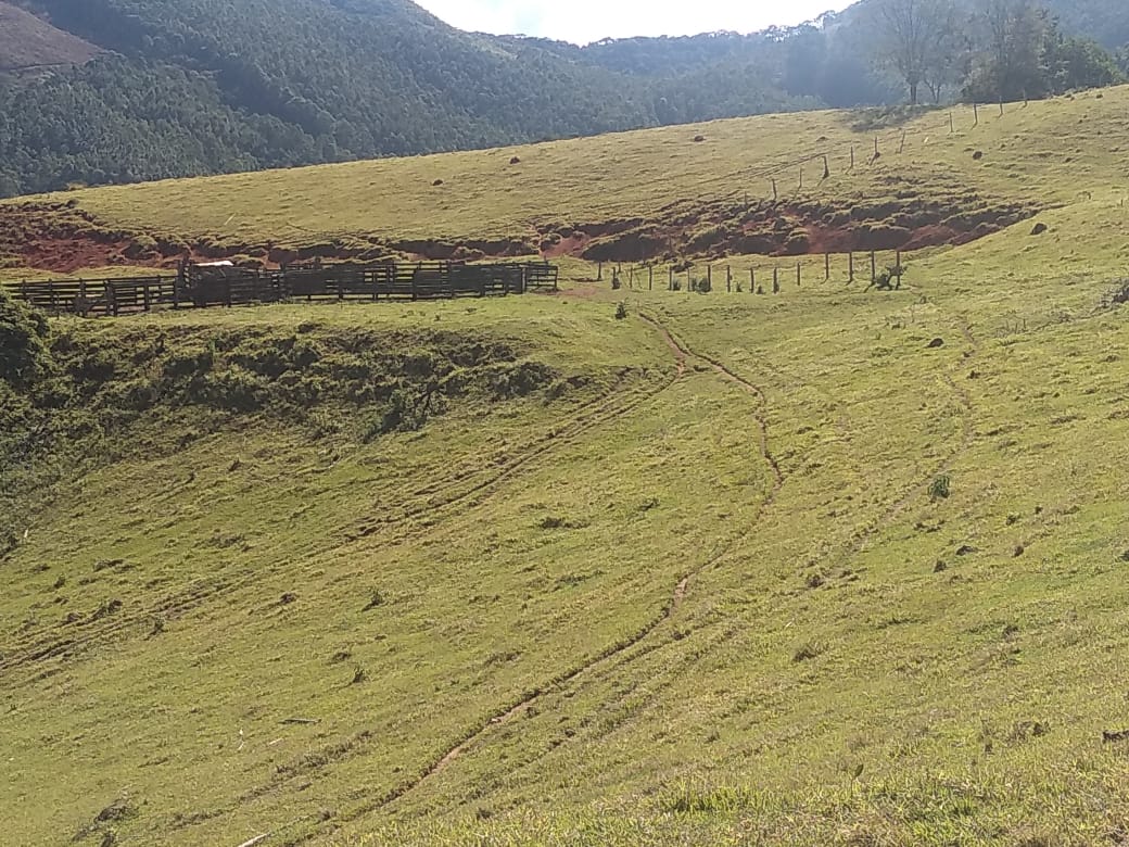 Fazendinha com Casa grande, 3 lagos, formada em pastagens | Joanópolis - SP | código 872