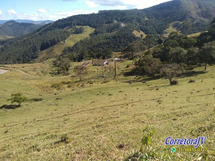 Fazendinha com Casa grande, 3 lagos, formada em pastagens | Joanópolis - SP | código 872