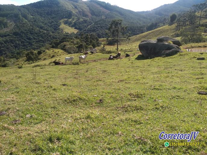 Fazendinha com Casa grande, 3 lagos, formada em pastagens | Joanópolis - SP | código 872