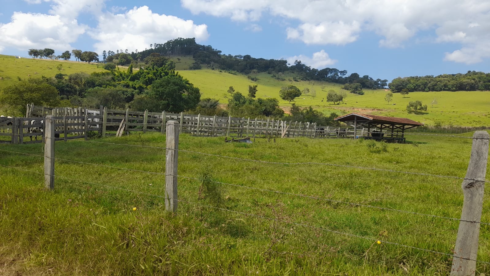 Área industrial muito bem localizada | Itapeva - MG | código 882