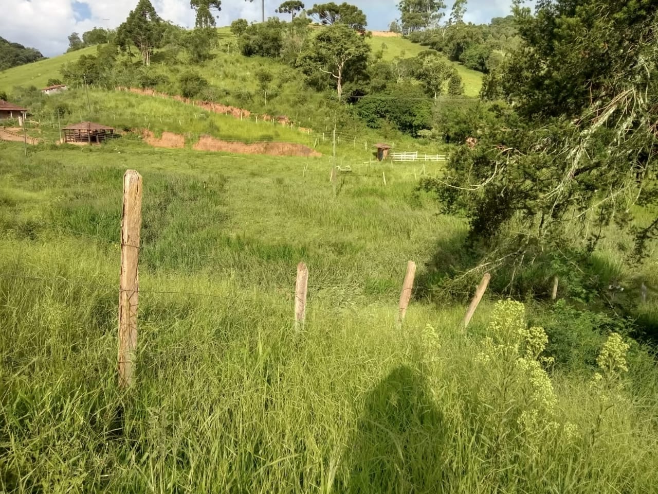 Chácara com  lago de peixes, casa com 3 quartos,  2 suítes, | Camanducaia - MG | código 883