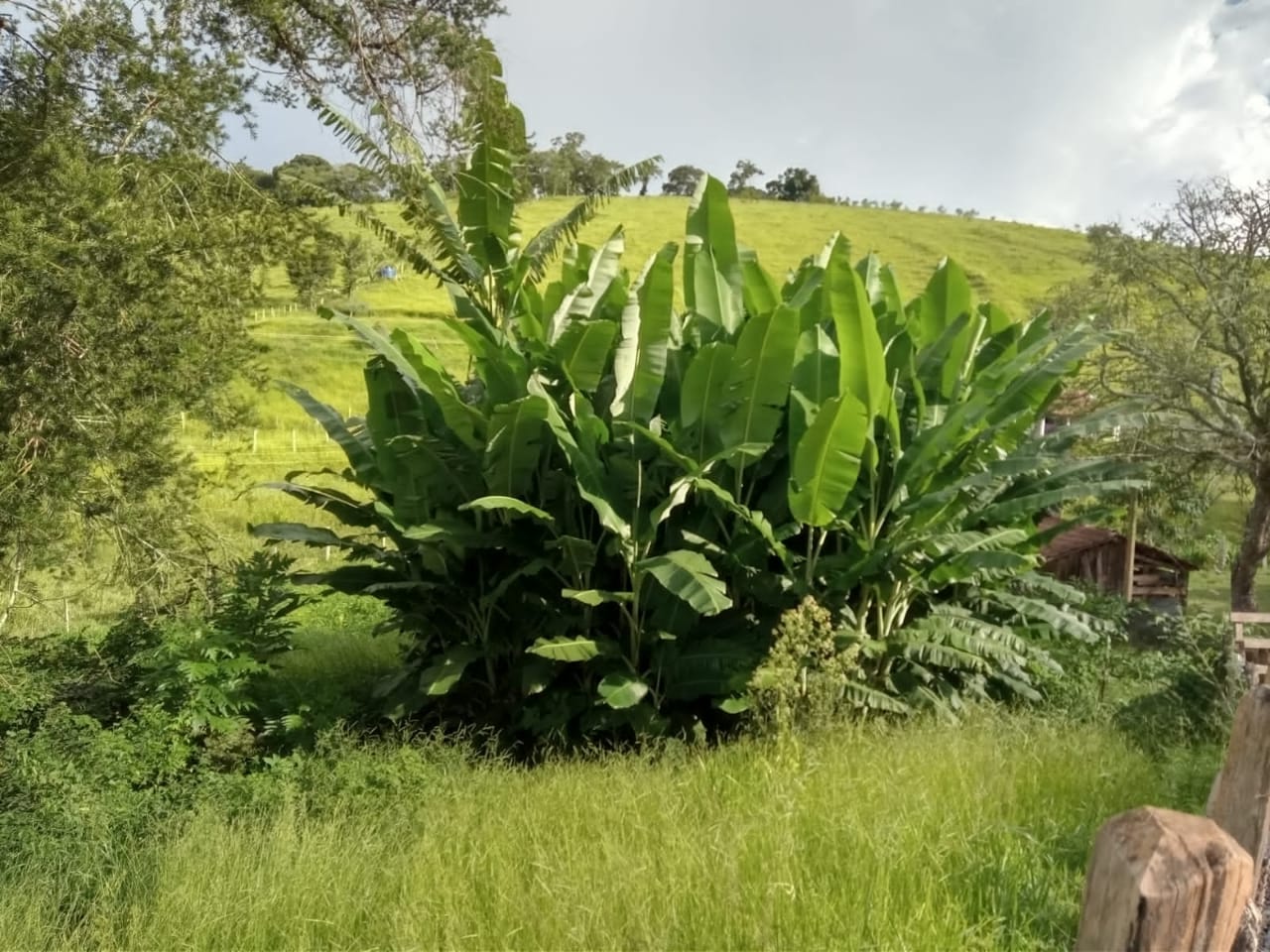 Chácara com  lago de peixes, casa com 3 quartos,  2 suítes, | Camanducaia - MG | código 883