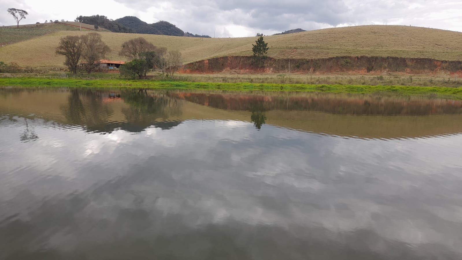 Sitio com represa grande, pouco aclive, curral, Em Toledo MG | código 896