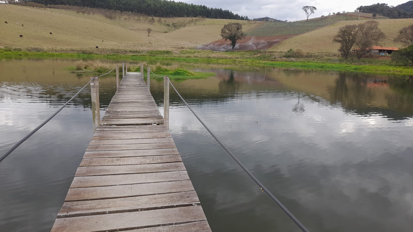 Sitio com represa grande, pouco aclive, curral, Em Toledo MG | código 896