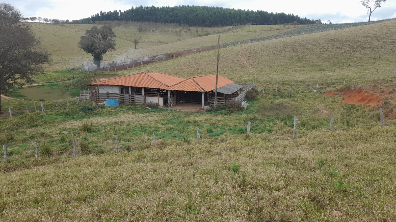 Sitio com represa grande, pouco aclive, curral, Em Toledo MG | código 896