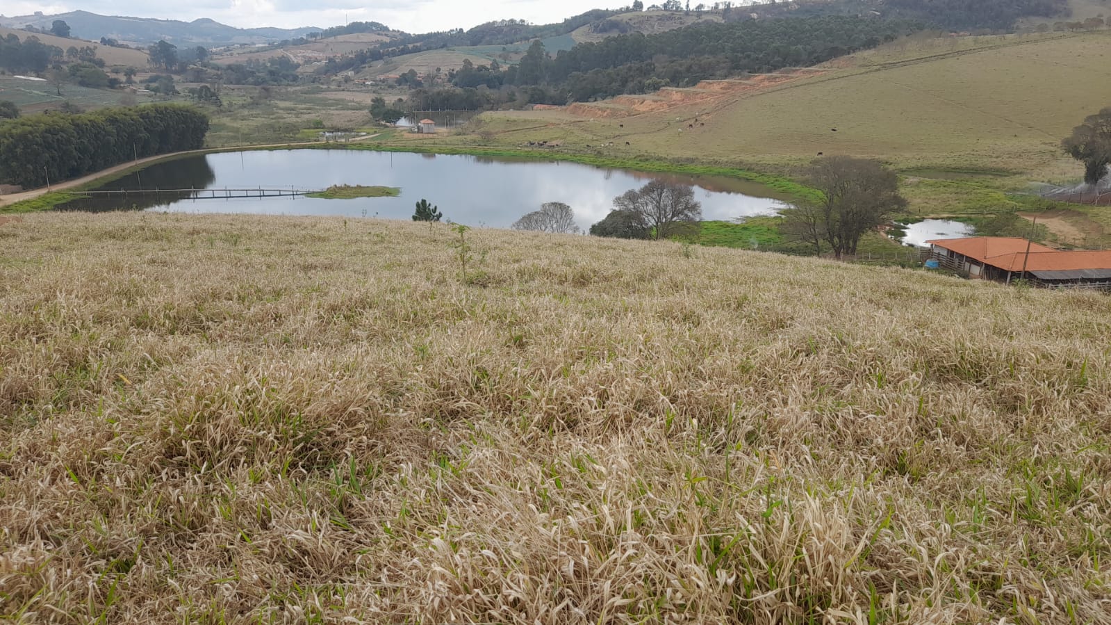 Sitio com represa grande, pouco aclive, curral, Em Toledo MG | código 896