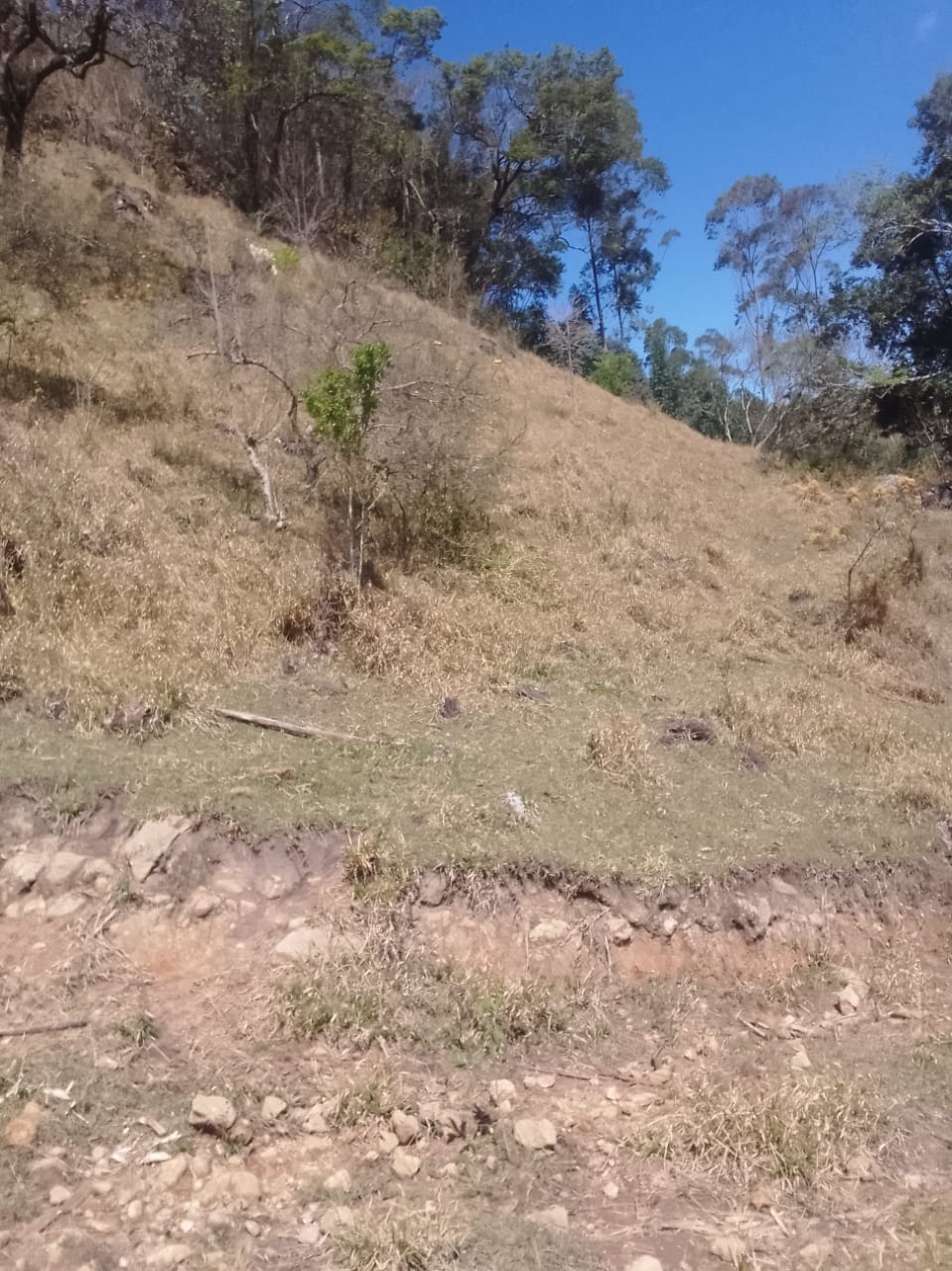 Terreno ótimo para formar um sítio com boa chegada | Extrema - MG | código 904