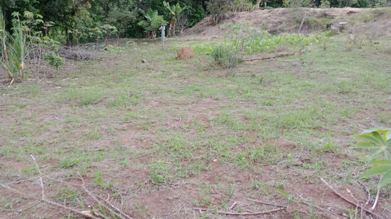 Terreno para formar chácara; com nascente ..local tranquilo | Extrema - MG | código 925