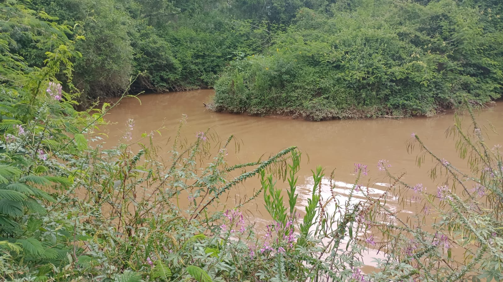 Área Industrial na margem da Rodovia Fernão Dias | Extrema - MG | código 929