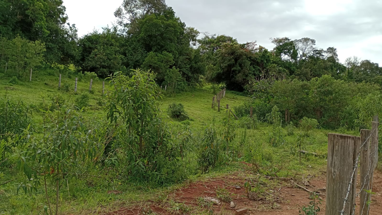 Área Industrial apenas 50 metros da Fernão Dias | Cambuí - MG | código 930