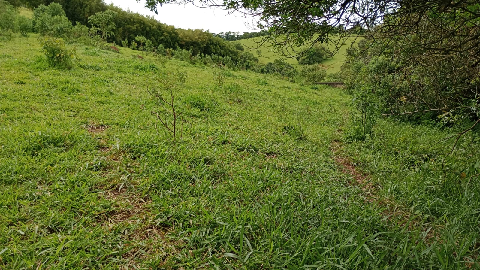 Área Industrial apenas 50 metros da Fernão Dias | Cambuí - MG | código 930