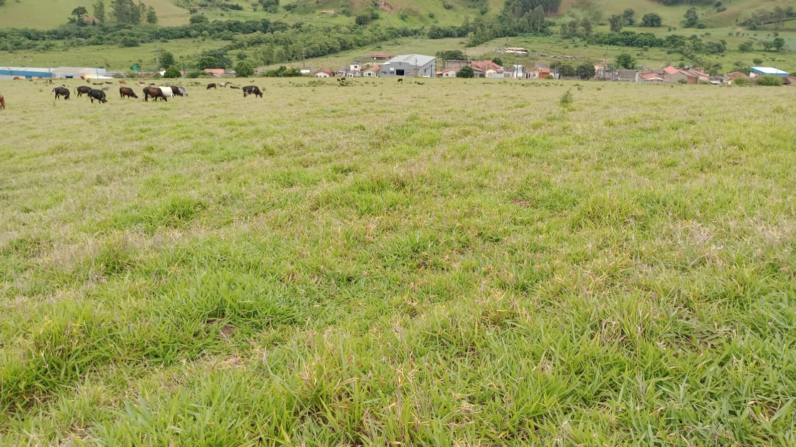 Terreno para indústria plano, permitida a utilização mista.| Cambuí - MG | código 931