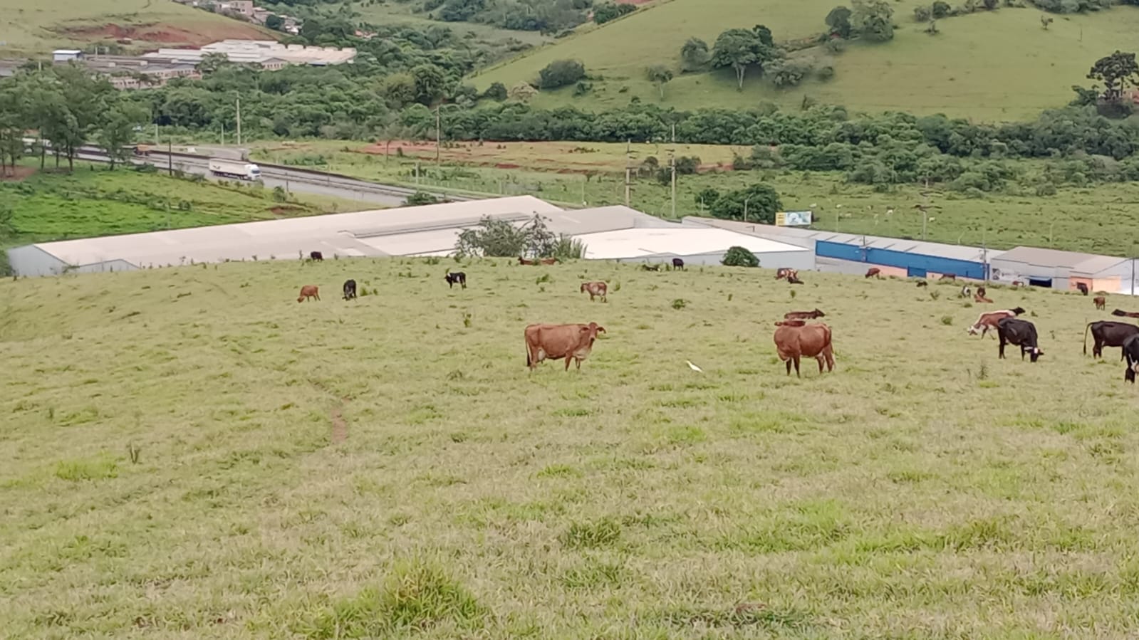 Terreno para indústria plano, permitida a utilização mista.| Cambuí - MG | código 931