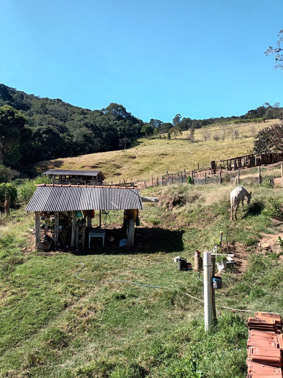 Sitio com casa sede e casa de caseiro, pequeno pomar | Itapeva - MG | código 934