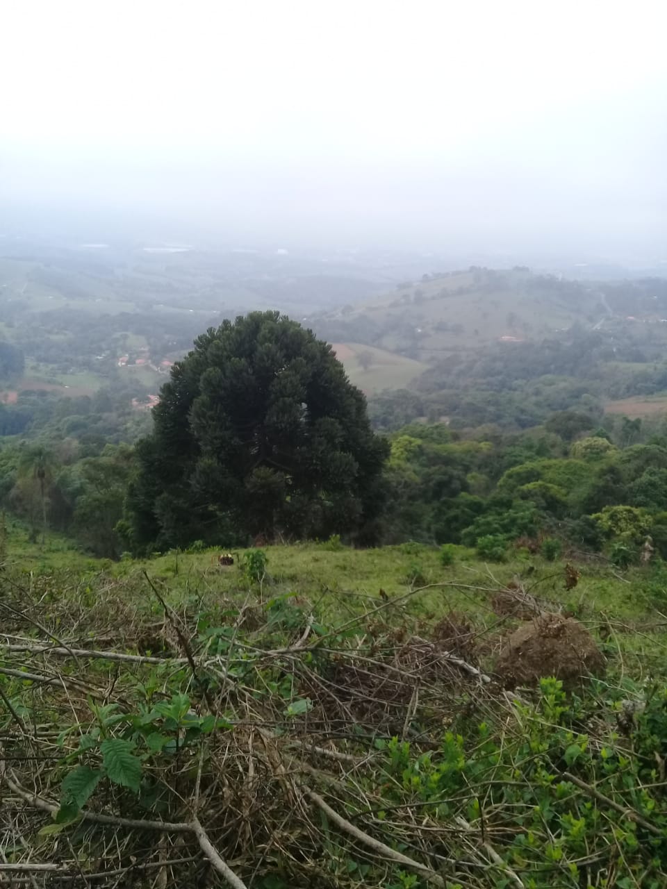 Terreno para chácara com linda vista para as montanhas | Extrema - MG | código 945