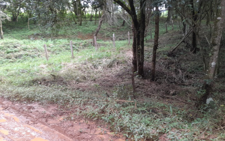 Ótimo terreno local tranquilo, para formar uma chácara. | Camanducaia - MG  | código 956