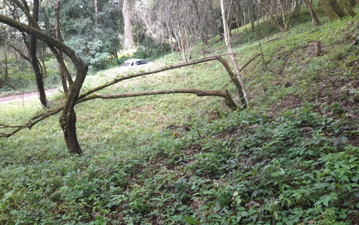 Ótimo terreno local tranquilo, para formar uma chácara. | Camanducaia - MG  | código 956