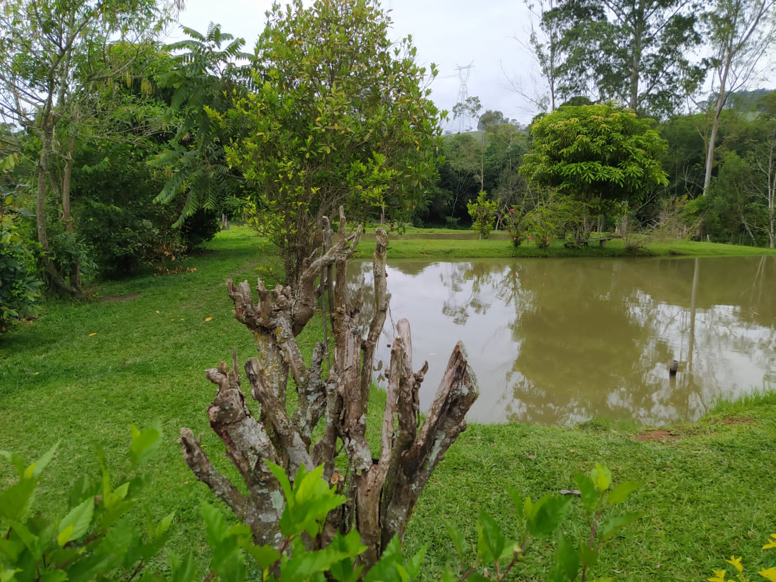 Lindo sítio localização: A 25 km de Pouso Alegre- MG  | código 959