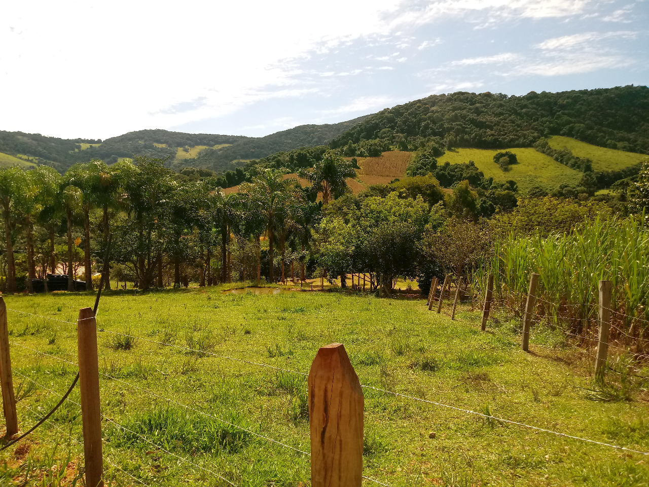 Sítio Casa sede 2 quartos grandes + 3 chalés + lago + córrego | Munhoz - MG  | código 972