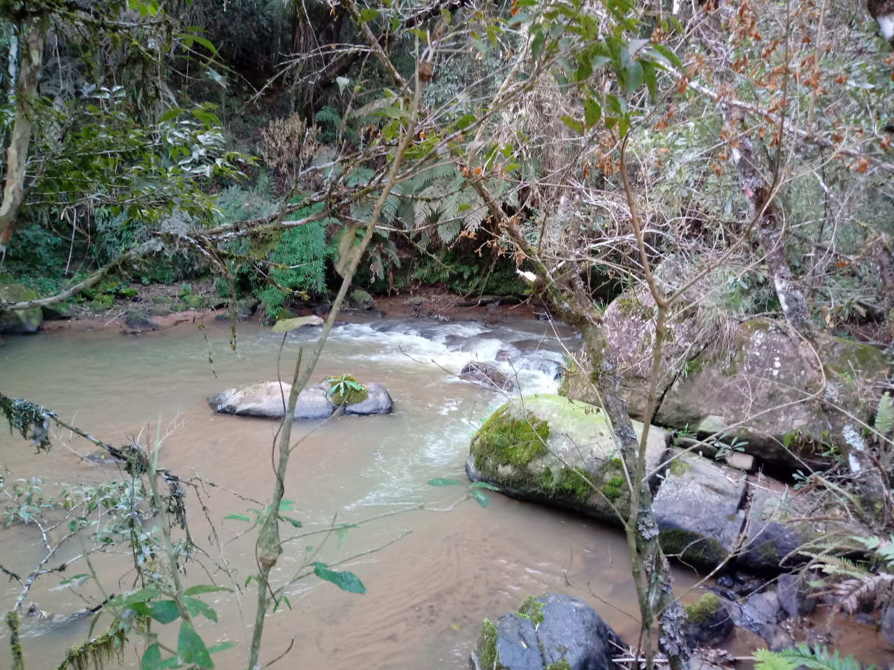 Sítio Casa sede 2 quartos grandes + 3 chalés + lago + córrego | Munhoz - MG  | código 972