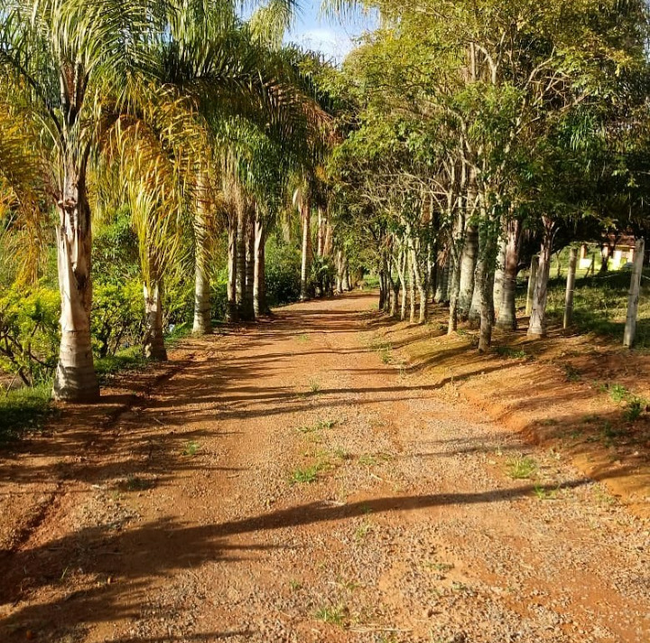 Sítio Casa sede 2 quartos grandes + 3 chalés + lago + córrego | Munhoz - MG  | código 972