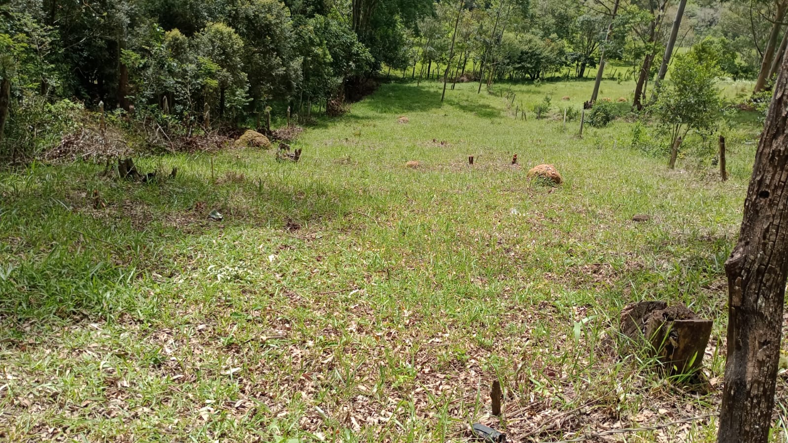 Terreno ótimo para formar chacrinha com boa chegada | Extrema - MG  | código 976