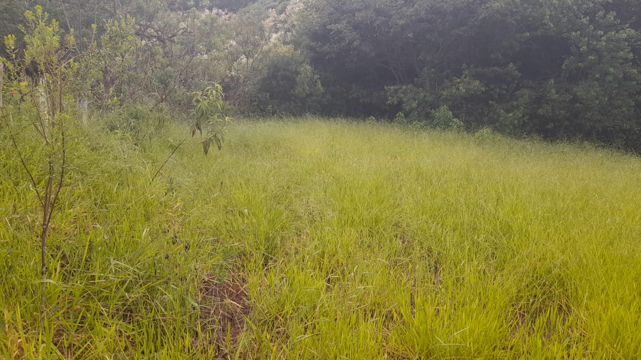 Terreno com nascente para formar chácara em Extrema MG  | código 981