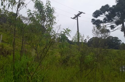 Terreno com nascente para formar chácara em Extrema MG  | código 981