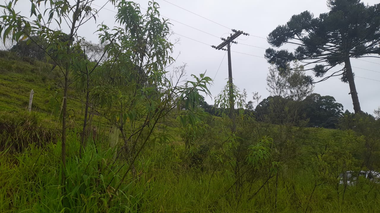 Terreno com nascente para formar chácara em Extrema MG  | código 981