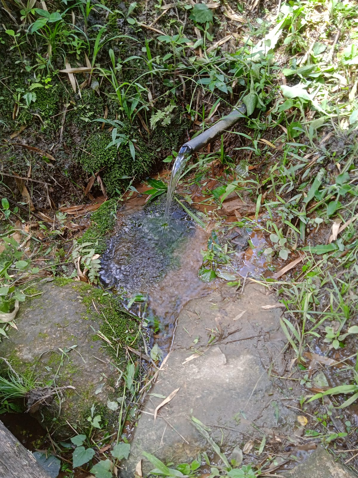 Chácara com nascente pequena cachoeira em Extrema - MG  | código 982