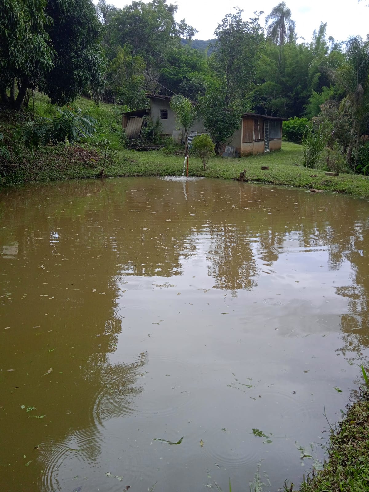 Chácara com nascente pequena cachoeira em Extrema - MG  | código 982