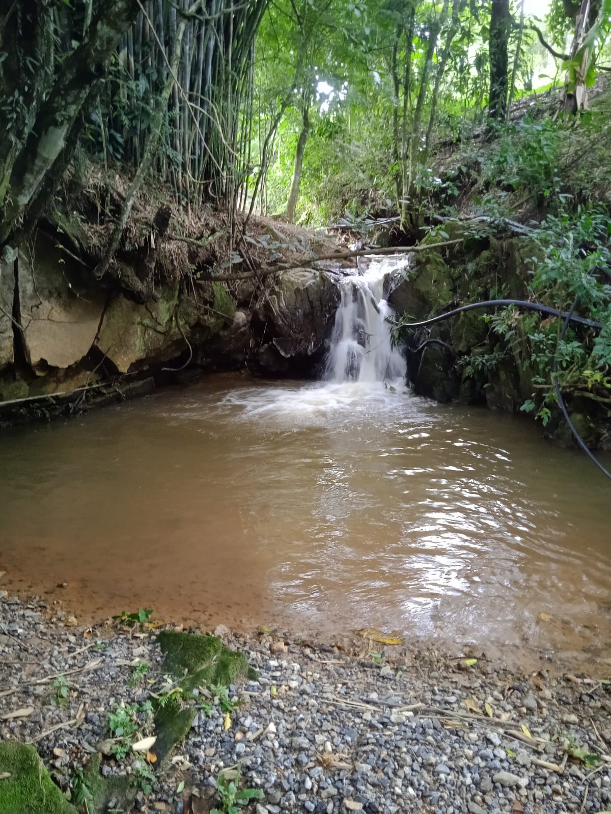 Chácara com nascente pequena cachoeira em Extrema - MG  | código 982