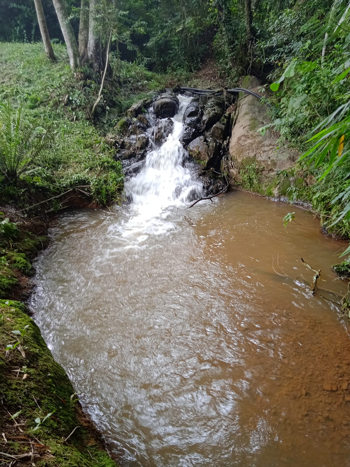 Chácara com nascente pequena cachoeira em Extrema - MG  | código 982