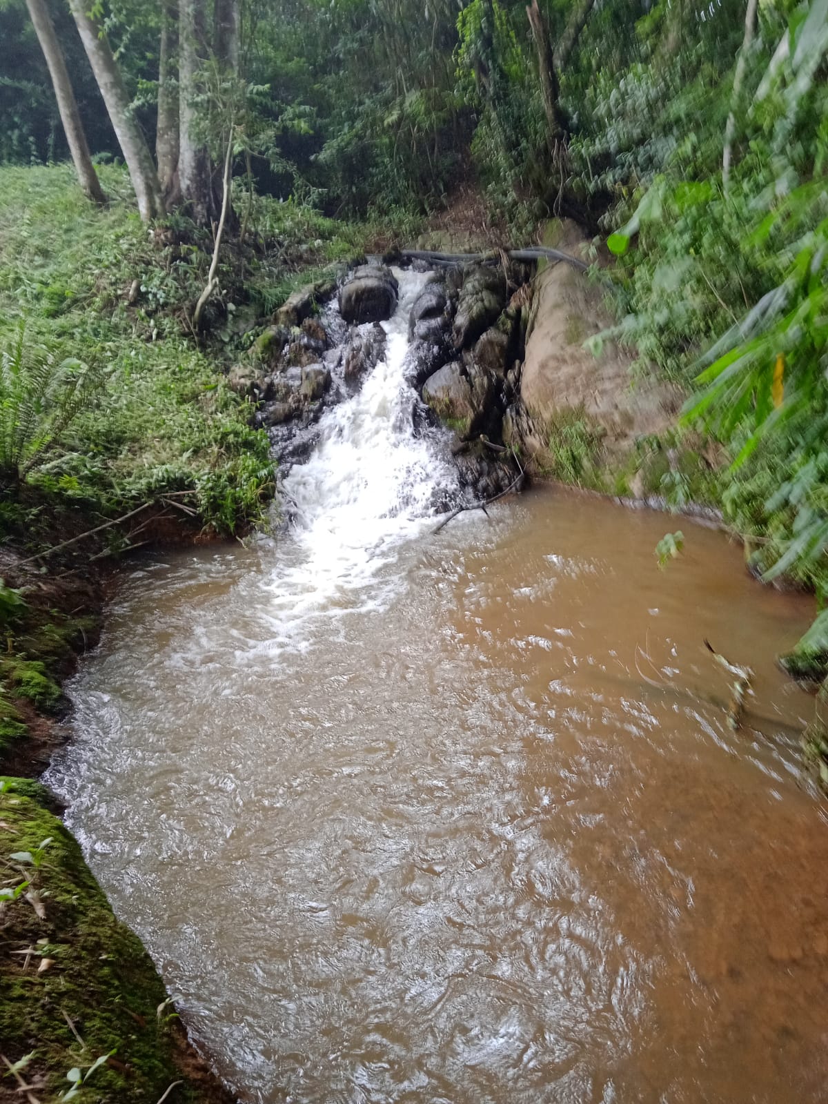 Chácara com nascente pequena cachoeira em Extrema - MG  | código 982